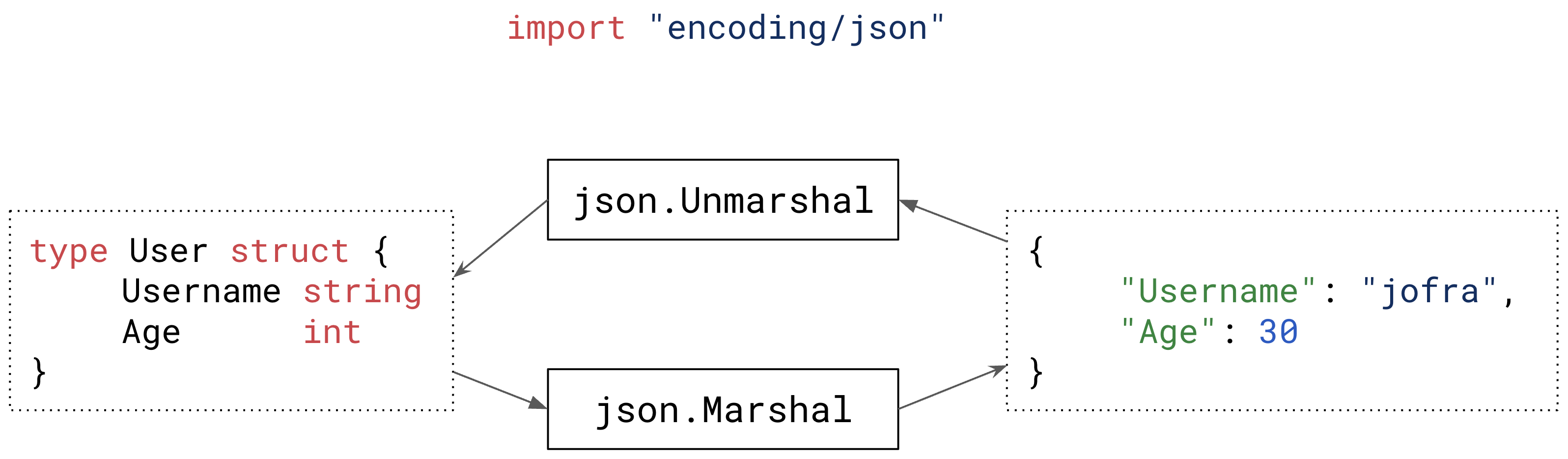 Parsing JSON in Go