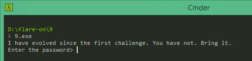 Challenge Nine command line crack-me