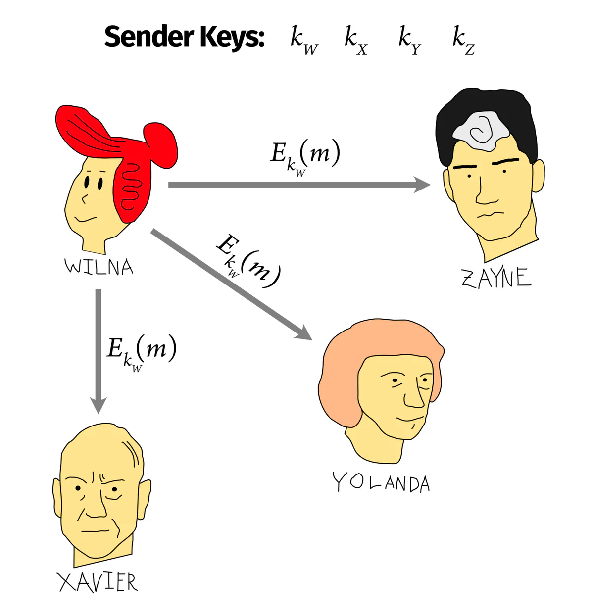Wilna encrypting an application message once with her sender key and broadcasting it to the group