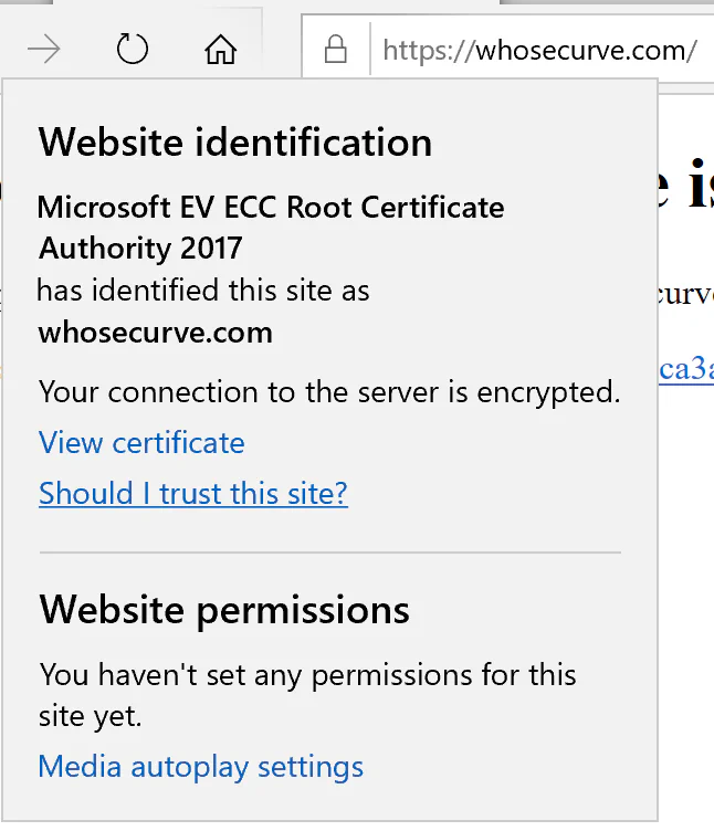 Fig 5. Not a real TLS certificate