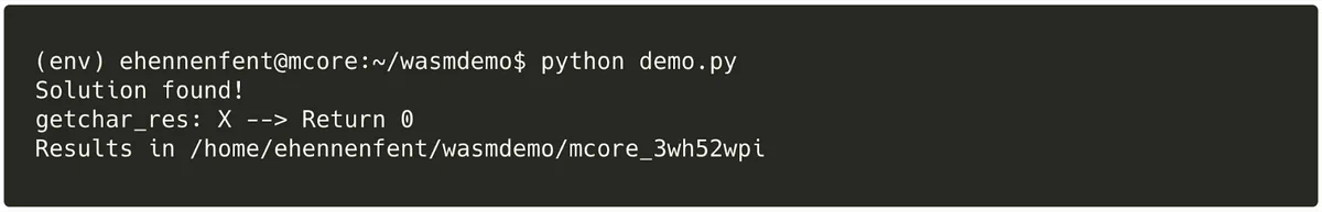 Terminal output showing Manticore returning ‘X’ with a return code of 0