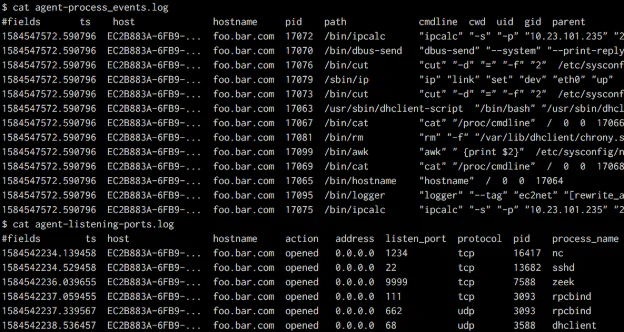 Zeek logs of network connections and listening ports, enriched with relevant process context from the endpoint