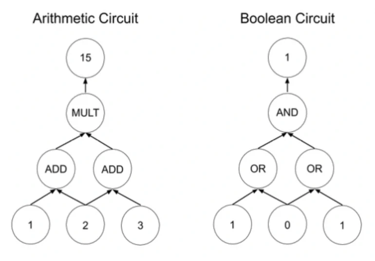 Examples of Boolean and arithmetic circuits