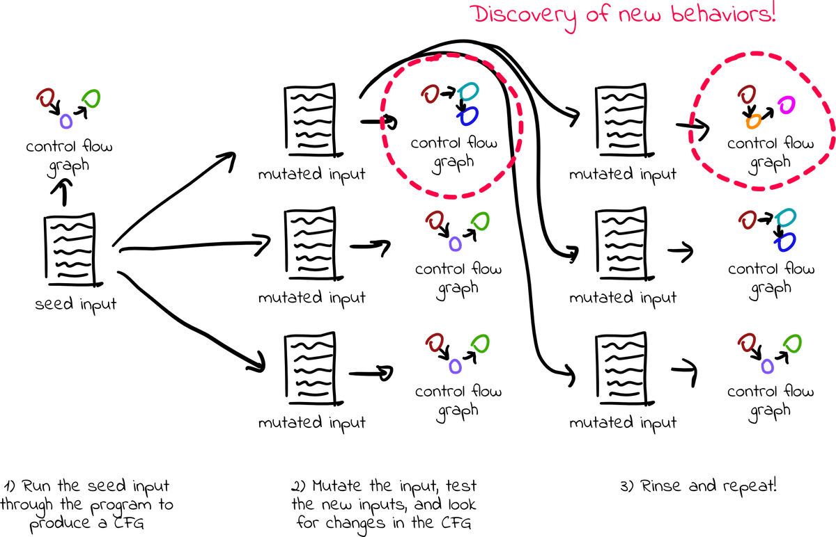 Diagram of a fuzzer’s coverage tree branching into new circled behaviors as it discovers new program behaviors