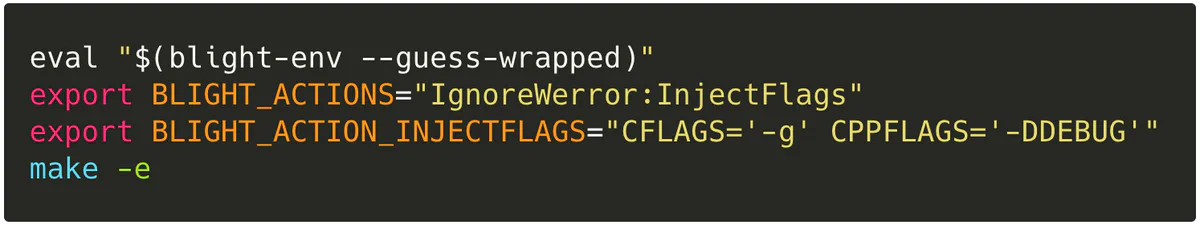 Shell commands setting BLIGHT_ACTIONS to IgnoreWerror:InjectFlags and configuring InjectFlags before running make