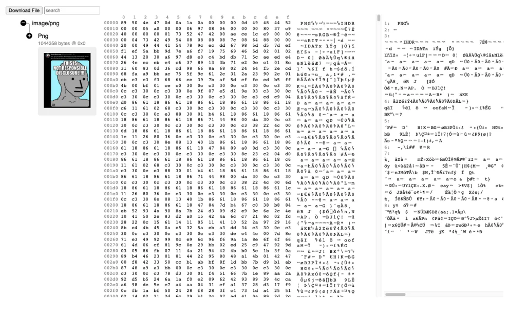 PolyFile HTML representation initial view