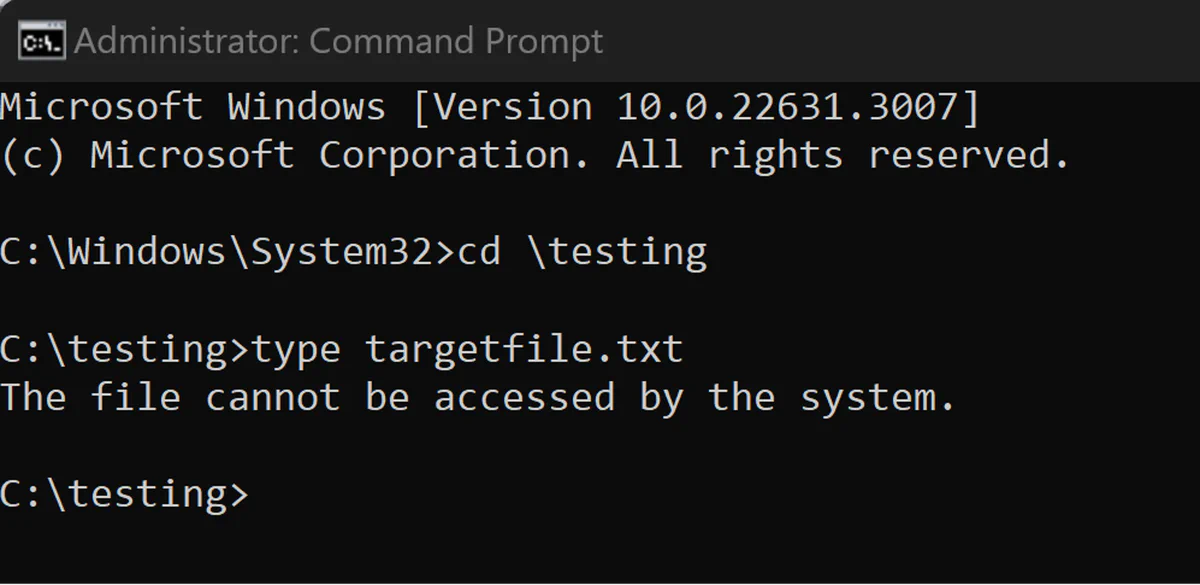 The command line error