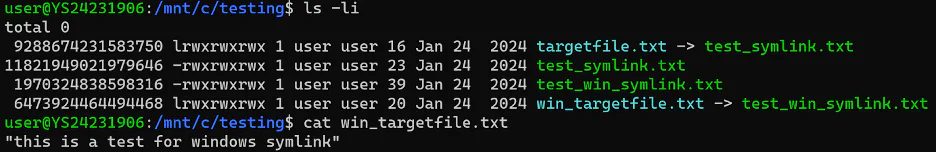 The Windows symlink can also be accessed from WSL