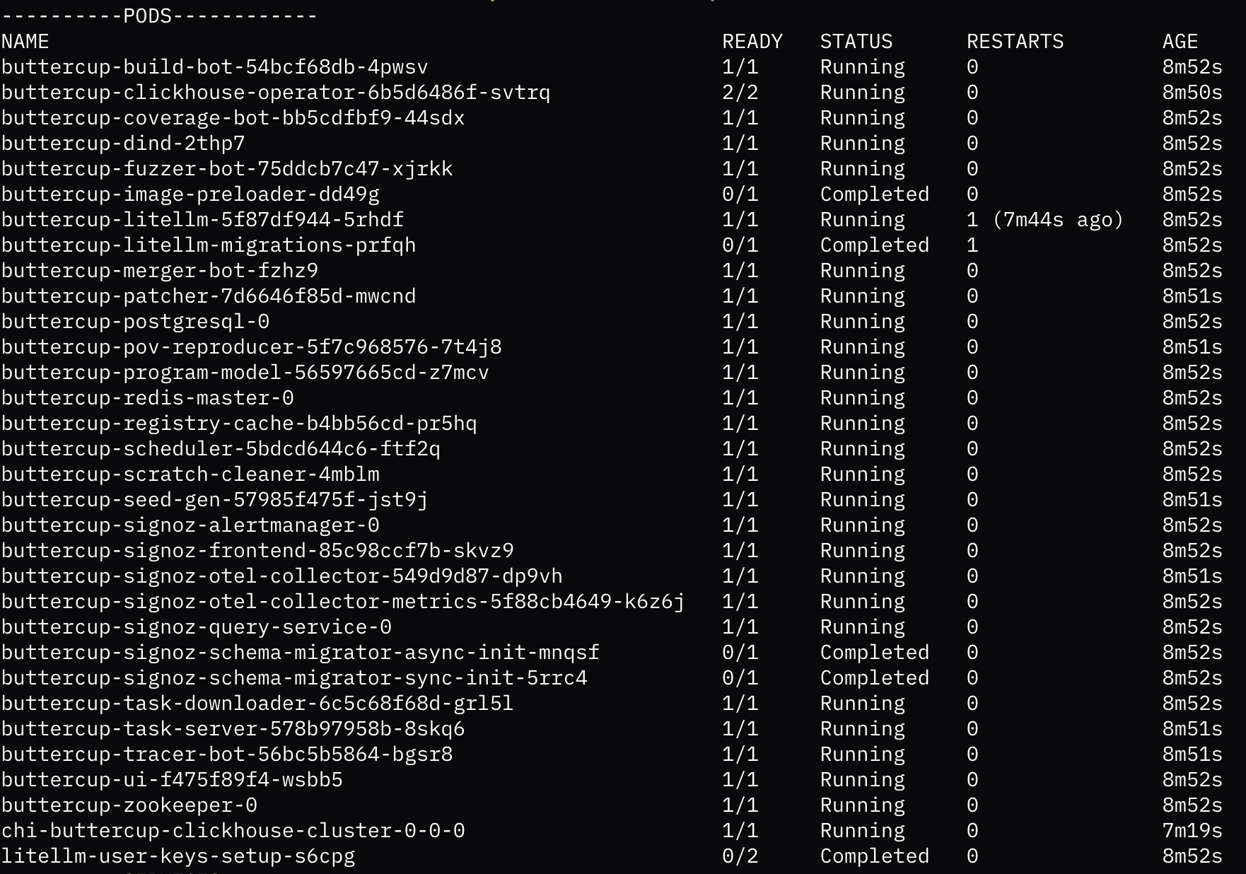 Image showing Buttercup ready to find and patch vulnerabilities